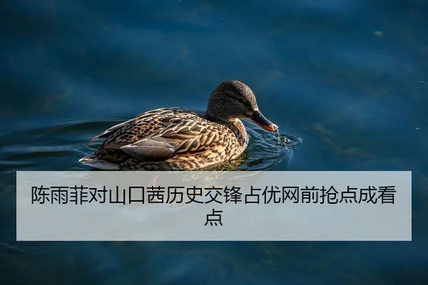 陈雨菲对山口茜历史交锋占优网前抢点成看点